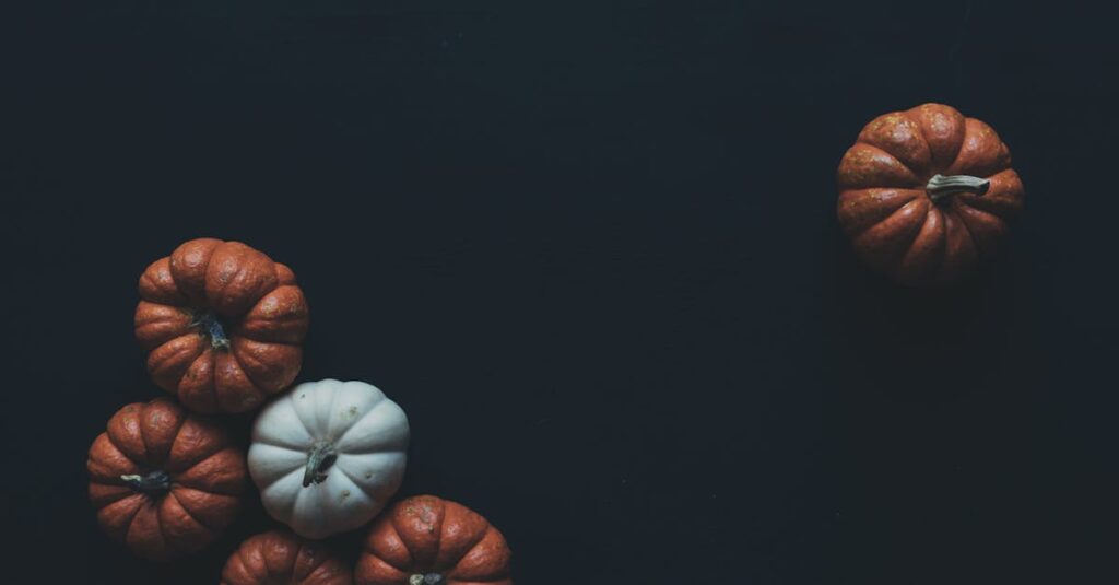 A minimalist still life featuring small orange and white pumpkins on a dark background, perfect for fall themes.